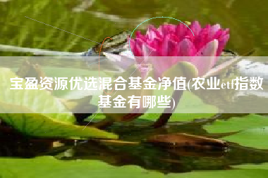 宝盈资源优选混合基金净值(农业etf指数基金有哪些)