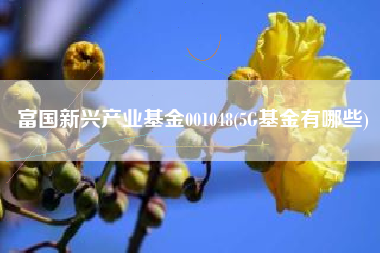 富国新兴产业基金001048(5G基金有哪些)