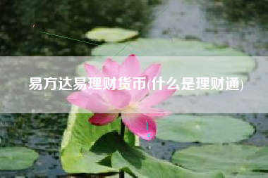 易方达易理财货币(什么是理财通)