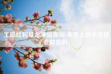 工银红利基金净值查询(未来上涨水平还会降低吗)