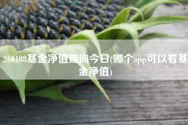 260108基金净值查询今日(哪个app可以看基金净值)