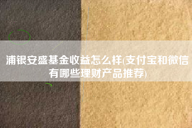 浦银安盛基金收益怎么样(支付宝和微信有哪些理财产品推荐)