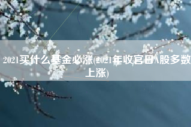 2021买什么基金必涨(2021年收官日A股多数上涨)