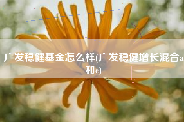 广发稳健基金怎么样(广发稳健增长混合a和c)
