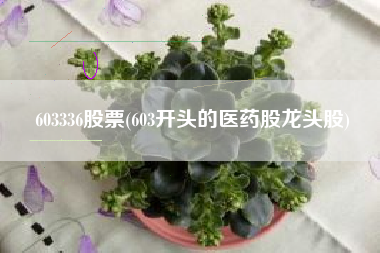 603336股票(603开头的医药股龙头股)