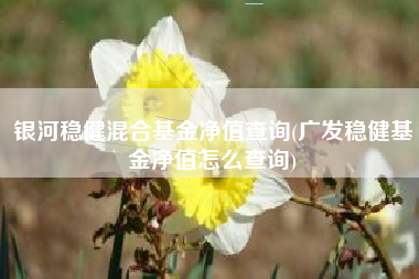 银河稳健混合基金净值查询(广发稳健基金净值怎么查询)