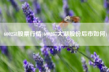 600258股票行情(600257大湖股份后市如何)