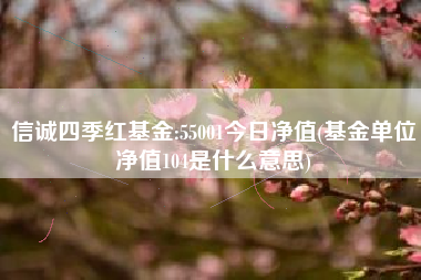 信诚四季红基金:55001今日净值(基金单位净值104是什么意思)