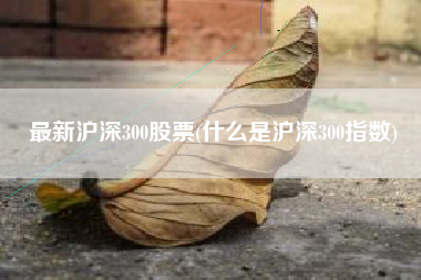 最新沪深300股票(什么是沪深300指数)