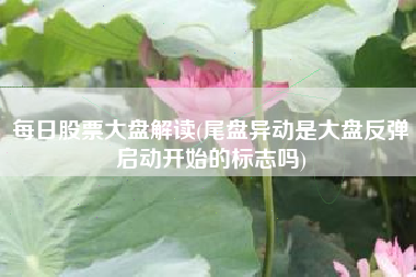 每日股票大盘解读(尾盘异动是大盘反弹启动开始的标志吗)