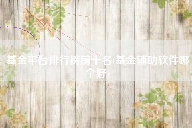 基金平台排行榜前十名(基金辅助软件哪个好)