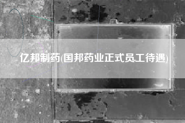 亿邦制药(国邦药业正式员工待遇)