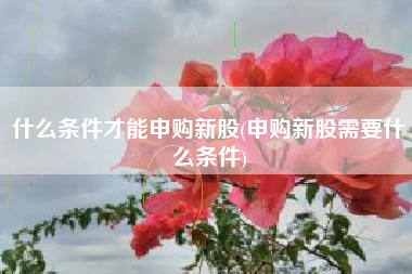 什么条件才能申购新股(申购新股需要什么条件)