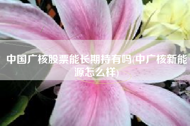 中国广核股票能长期持有吗(中广核新能源怎么样)