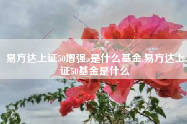 易方达上证50增强a是什么基金,易方达上证50基金是什么