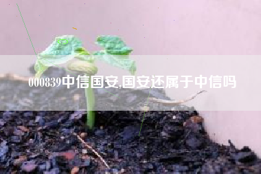 000839中信国安,国安还属于中信吗