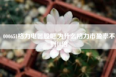 000651格力电器股吧,为什么格力市盈率不到10倍
