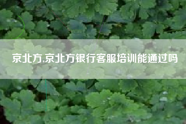 京北方,京北方银行客服培训能通过吗