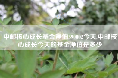 中邮核心成长基金净值590002今天,中邮核心成长今天的基金净值是多少