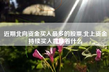 近期北向资金买入最多的股票,北上资金持续买入意味着什么