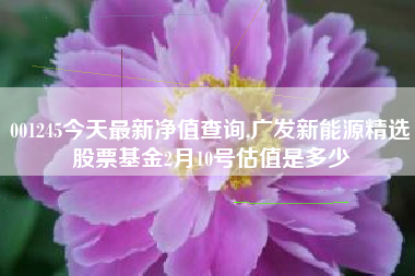 001245今天最新净值查询,广发新能源精选股票基金2月10号估值是多少