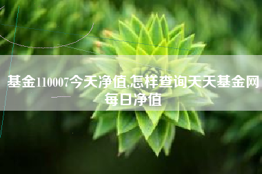 基金110007今天净值,怎样查询天天基金网每日净值