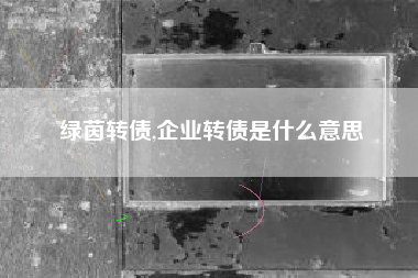 绿茵转债,企业转债是什么意思