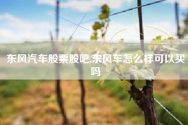 东风汽车股票股吧,东风车怎么样可以买吗