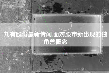 九有股份最新传闻,面对股市新出现的独角兽概念