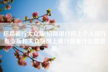 招商银行大众版(招商银行网上个人银行专业版和大众版网上银行各是什么意思啊)