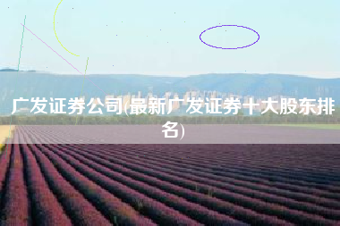 广发证券公司(最新广发证券十大股东排名)