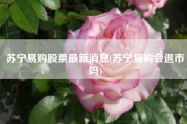 苏宁易购股票最新消息(苏宁易购会退市吗)