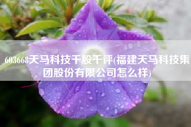 603668天马科技千股千评(福建天马科技集团股份有限公司怎么样)