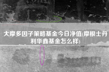 大摩多因子策略基金今日净值(摩根士丹利华鑫基金怎么样)