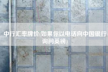中行汇率牌价(如果你以电话向中国银行询问英镑)