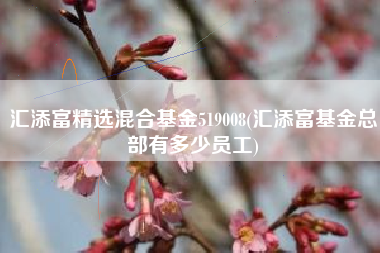 汇添富精选混合基金519008(汇添富基金总部有多少员工)