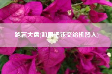 跑赢大盘(如果把钱交给机器人)