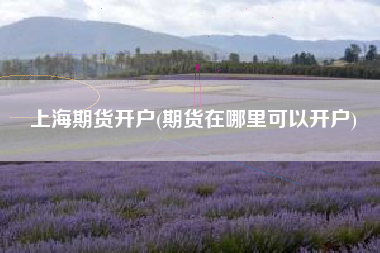 上海期货开户(期货在哪里可以开户)