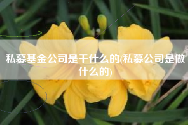 私募基金公司是干什么的(私募公司是做什么的)
