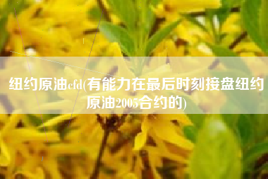 纽约原油cfd(有能力在最后时刻接盘纽约原油2005合约的)