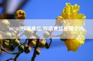 002481双塔食品(双塔食品是国企吗)