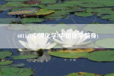 601117中国化学(中国化学前身)
