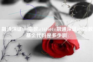 融通深证100指数a(161604)(融通深证100指数基金代码是多少啊)