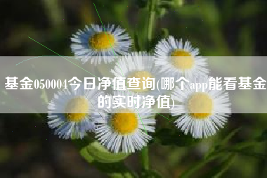 基金050004今日净值查询(哪个app能看基金的实时净值)
