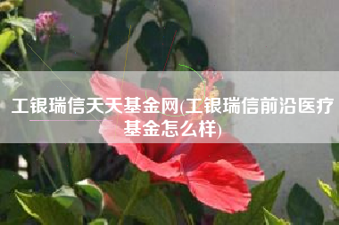 工银瑞信天天基金网(工银瑞信前沿医疗基金怎么样)