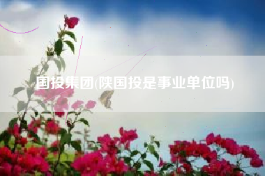 国投集团(陕国投是事业单位吗)