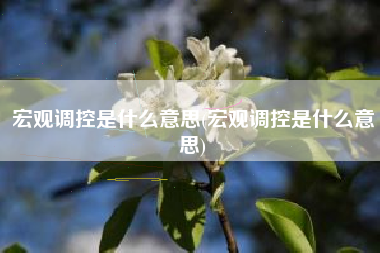 宏观调控是什么意思(宏观调控是什么意思)