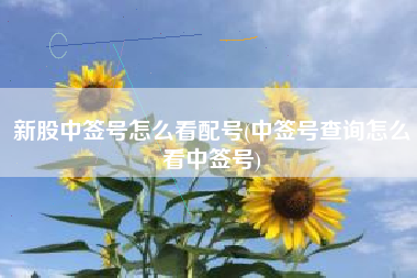 新股中签号怎么看配号(中签号查询怎么看中签号)