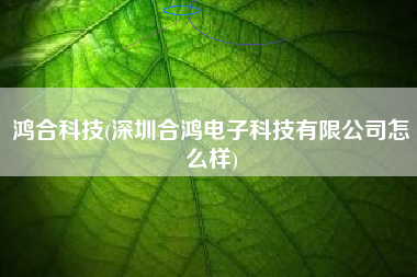 详细阅读:鸿合科技(深圳合鸿电子科技有限公司怎么样) 鸿合科技(深圳合鸿电子科技有限公司怎么样)