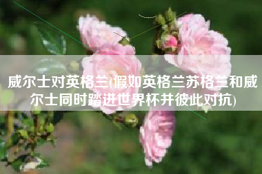 威尔士对英格兰(假如英格兰苏格兰和威尔士同时踏进世界杯并彼此对抗)